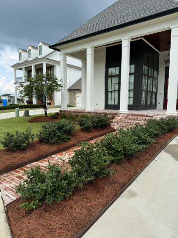 Landscape design Installation