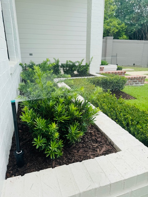 Installed and working irrigation system